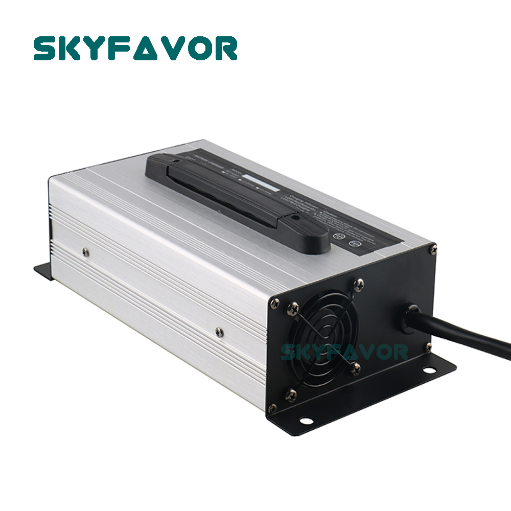 Chargeur de batterie professio - Lifepo4 Battery Charger Smart Automatic avis et prix