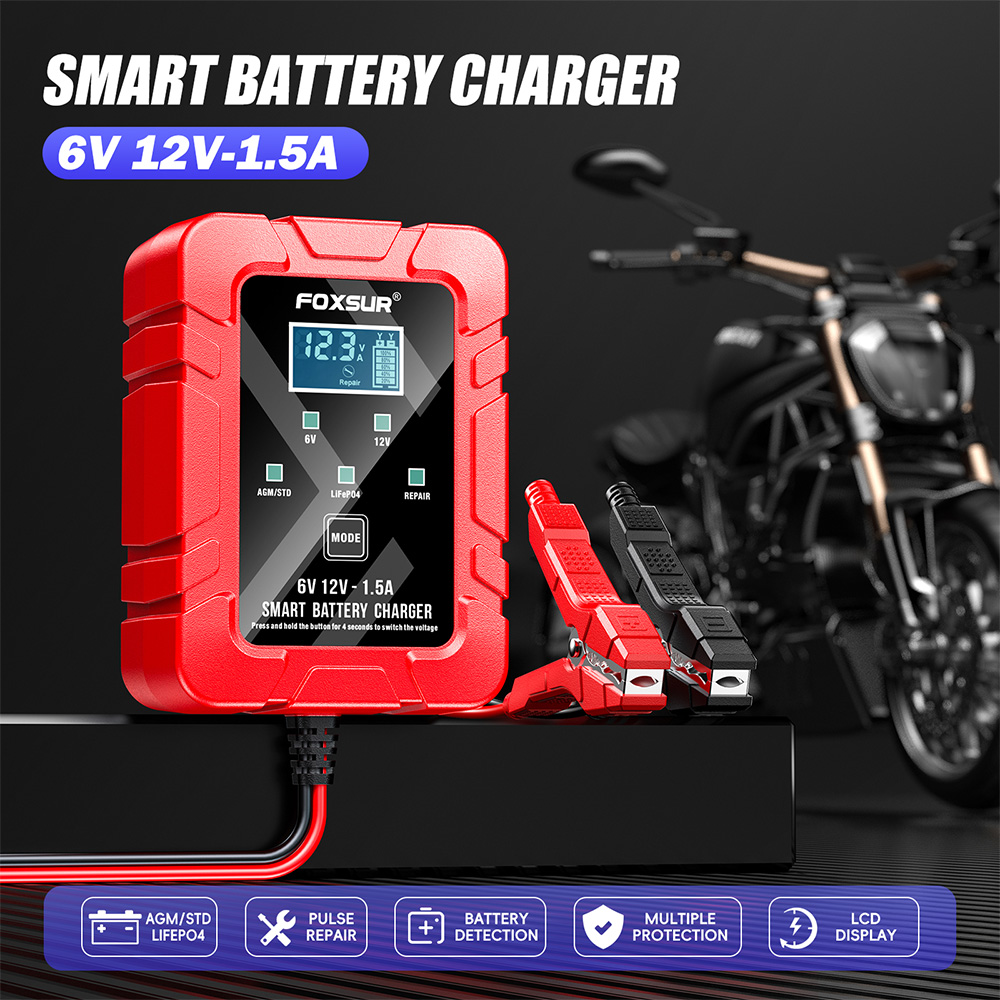 FOXSUR 6V 12V chargeur de batt - Lifepo4 Battery Charger Smart Automatic avis et prix