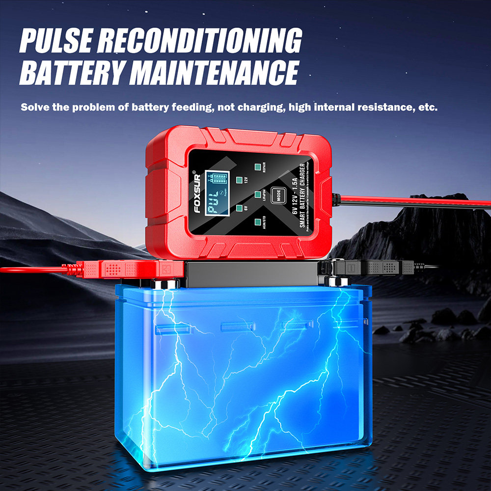 FOXSUR 6V 12V chargeur de batt - Lifepo4 Battery Charger Smart Automatic avis et prix