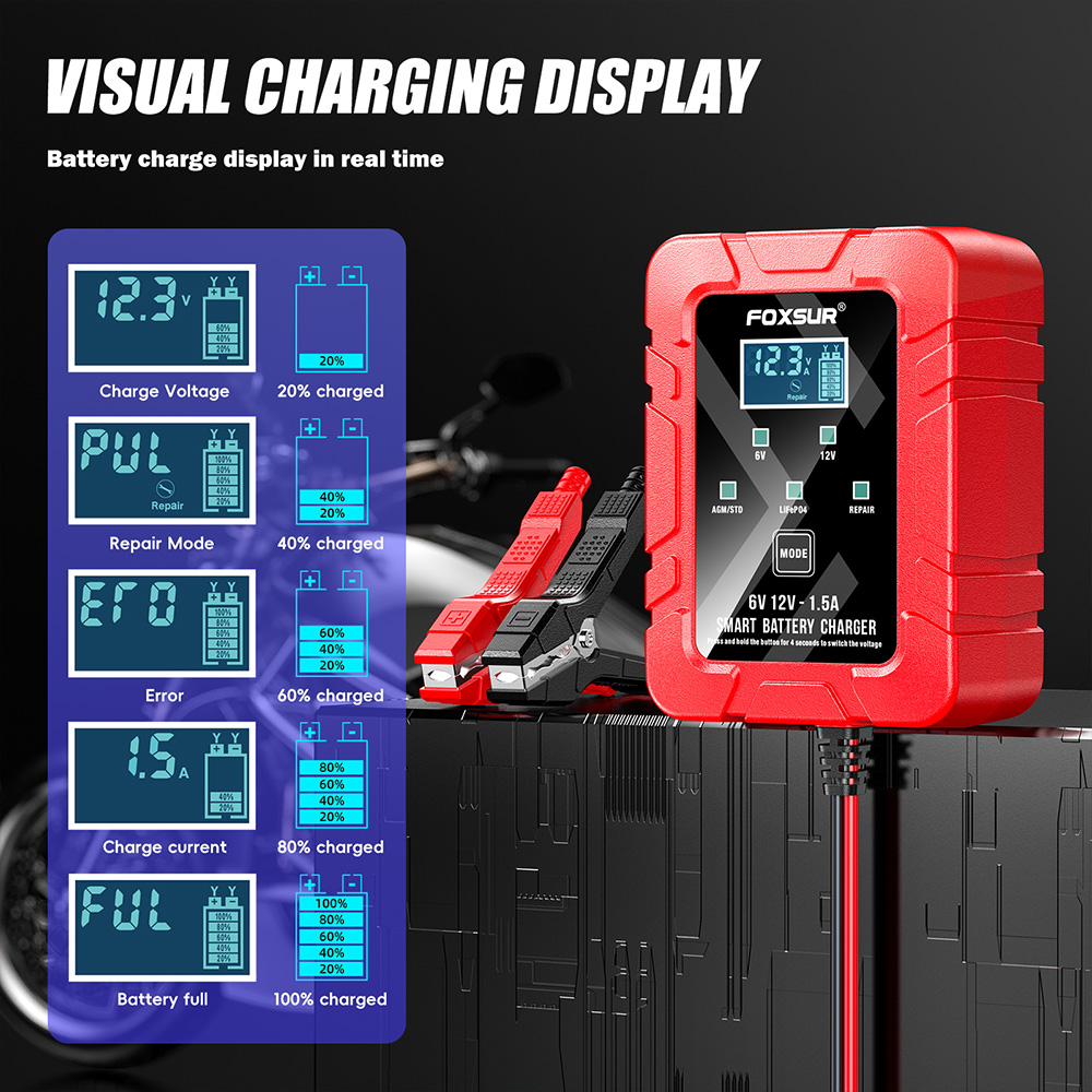 FOXSUR 6V 12V chargeur de batt - Lifepo4 Battery Charger Smart Automatic avis et prix