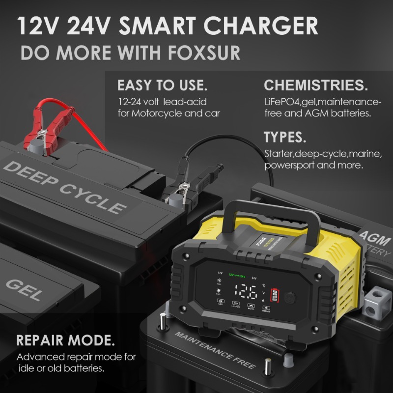 FOXSUR-Chargeur de batterie in - Smart Car Battery Charger 12V 24V 20A avis et prix