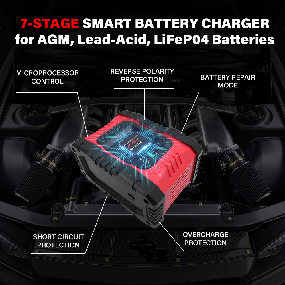 Chargeur de batterie de voitur - Smart Car Battery Charger 12V 24V 20A avis et prix